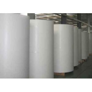 Package Filament PET Spunbond Nonwoven Fabric For Auto Interior Decoration