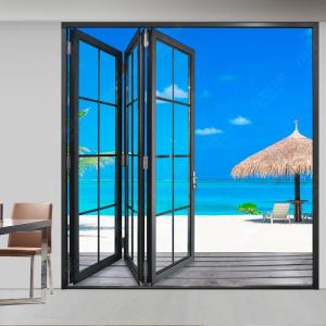 Tempered TS8457 2mm Foldable Glass Doors For Home