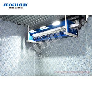 Advanced Focusn 3500kg Scenery Snow Falling Machine for Manufacturing Plant