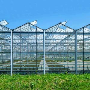 Quality Hot Galvanzied Steel Pipe Agricultural Venlo Glasshouse Turnkey Project for sale