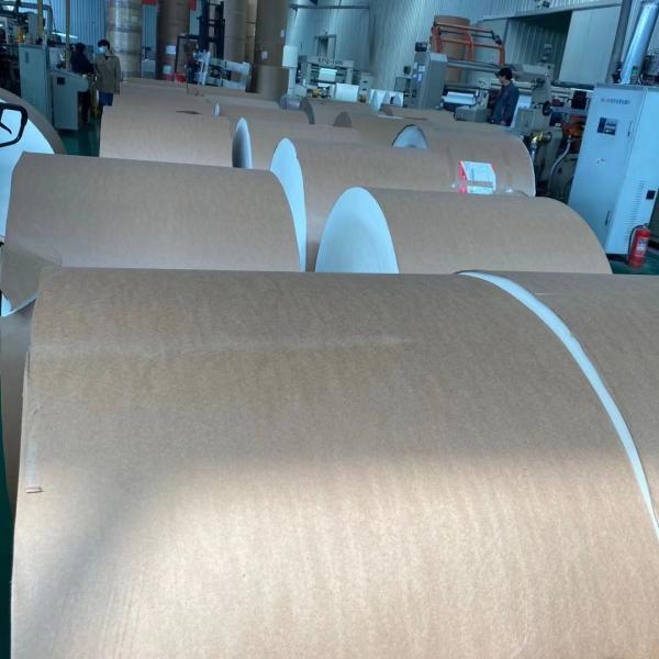 Buy FBB C1S Ivory Board 750mm Grey Back Duplex Board All Size Thick at wholesale prices