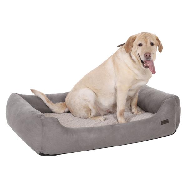 Buy Medium Sized Dog Bed Cushion High Quality Fun Ultra Soft With Pillow Case at wholesale prices