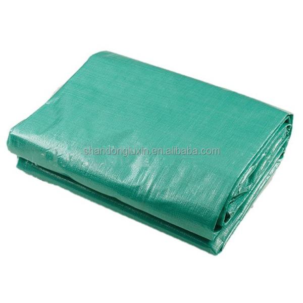 Standard Size Tarpaulin Heavy Duty UV Protected Poly Tarp for Agriculture