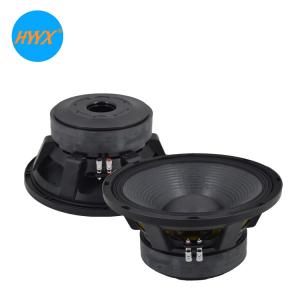 200x25mm Double Magnet 800W RMS 2KHz 12 Inch PA Subwoofer