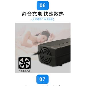 Lifepo4 16.8v Lithium Ion Battery Chargers