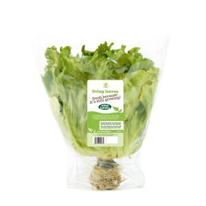 Vegetable Salad OPP Packaging Bag Biodegradable Printed Self Adhesive