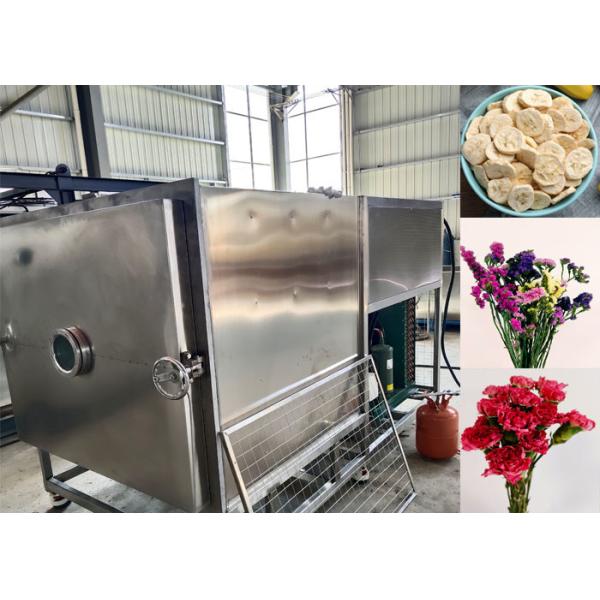 Buy Custom Vegetable Freeze Dryer With Automatic Operation Mode at wholesale prices
