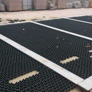 Heavy-Duty HDPE Grass Paver Grid for Permeable Ground Reinforcement, Driveways,
