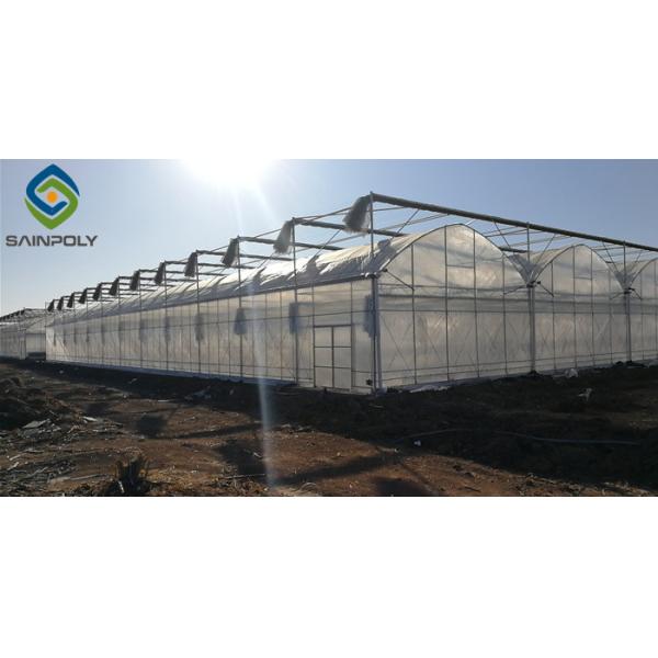 Buy Vegetable 7ft Pe Film Greenhouse With Irrigation Eqiupment at wholesale prices