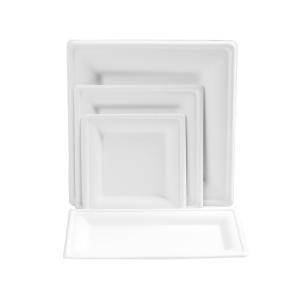 Food Custom Molded Pulp Packaging Biodegradable Environmentally Friendly