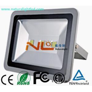 natural white floodlight