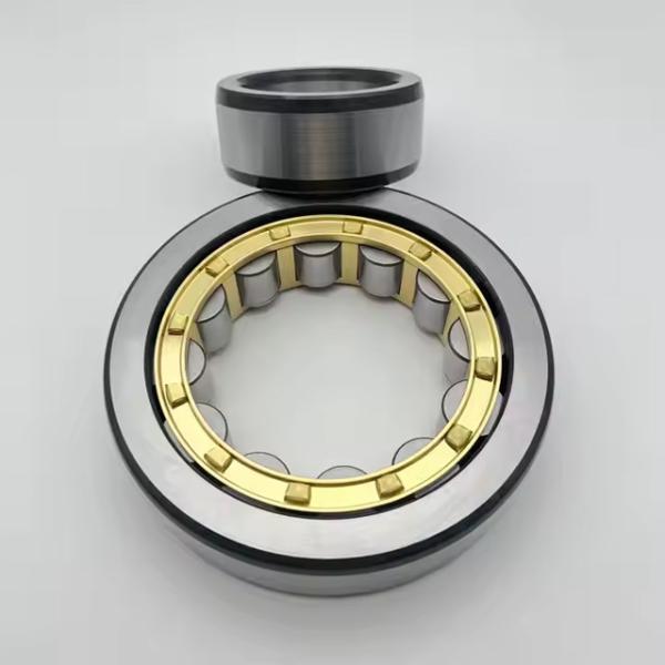 Buy NJ1013 Single Row Cylindrical Roller Bearing NJ1013EM 65*100*18MM at wholesale prices