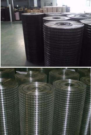 1/4" Opening Stainless Steel Welded Wire Mesh Rolls Hot Dipped Galvanized