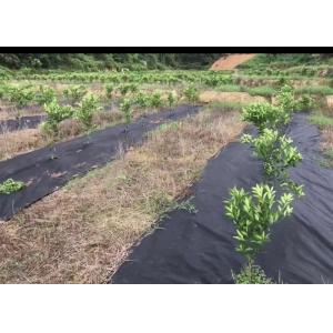 Tear Resistant PP Spunbond Nonwoven Fabric / Vegetable Garden Weed Control