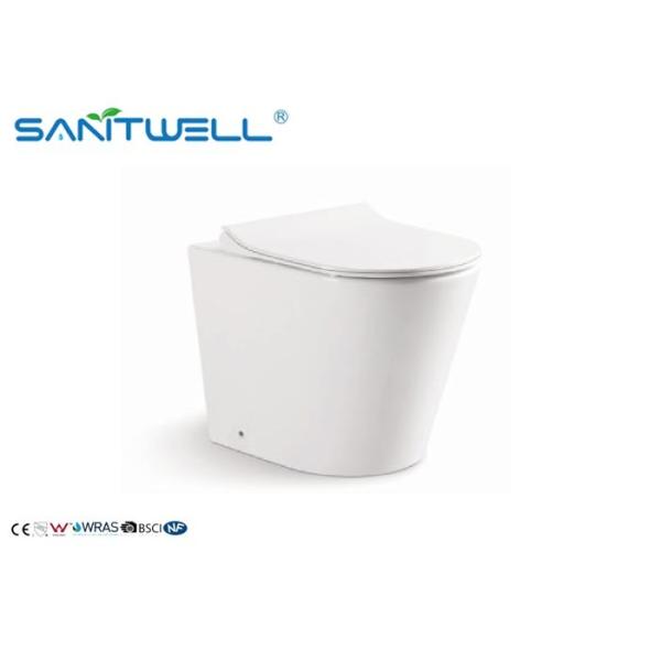 Buy P - trap Back To Wall Pan Washdown Two Piece Toilet Rim - Ex Ceramic at wholesale prices