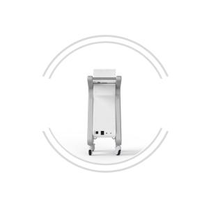 Microneedle RF Anti-Wrinkle Device Sacar Removal Invasive Fractional Microneedle