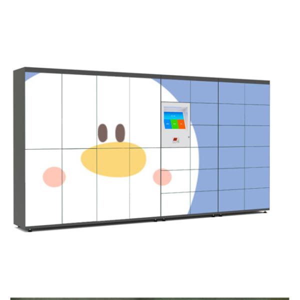 Cabinet Smart Laundry Locker Wardrobe Wash Clothes Parcel Delivery Box