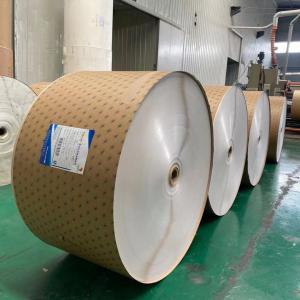Customized Width PE Coated Paper Roll With Smooth Surface High Quality