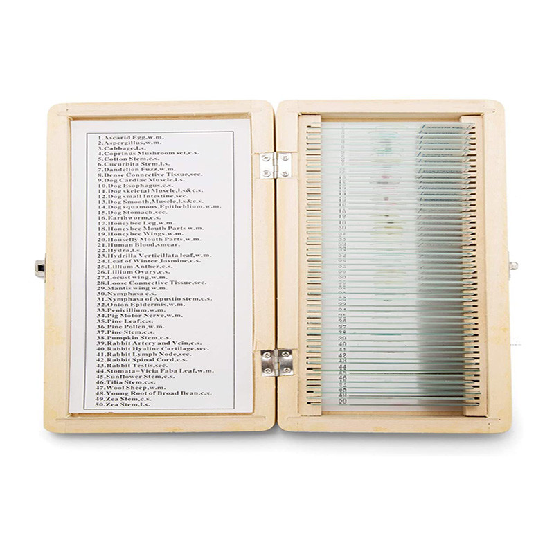 Quality Human Dental Histology Wooden Box 50pcs Prepared Microscope Slides for sale