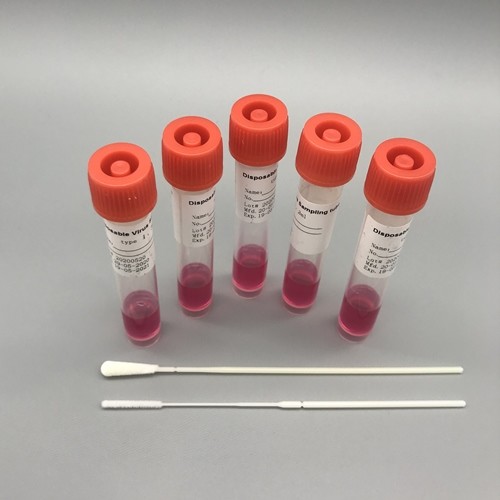 Buy VTM Disposable Virus Sampling Kit Flocked Nylon Nasal Throat Swab at wholesale prices