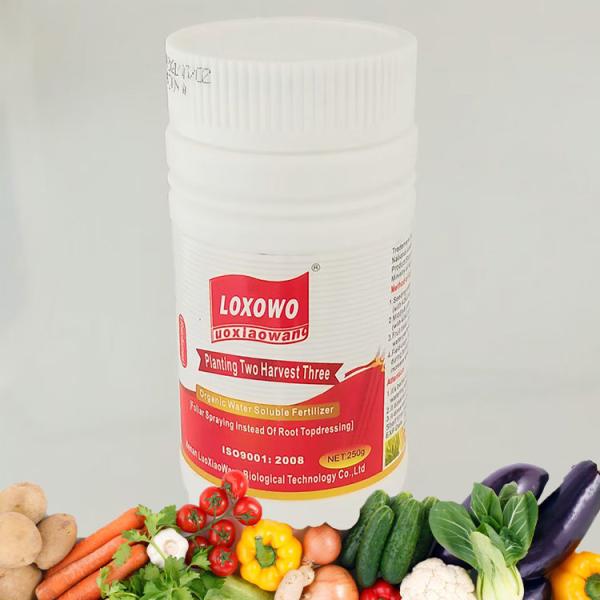 For Agriculture Export Quality Organic Liquid Humic Acid Fertilizer