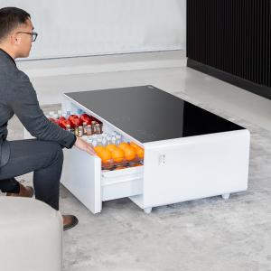 PORTABLE 2024 Primst Smart Refrigerator Coffee Table Mini Fridge Table With