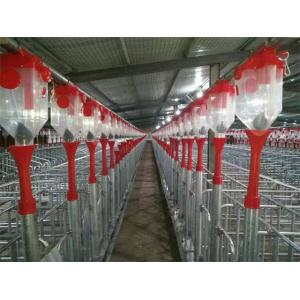 Automatic Piggery Farm Equipment 45mm Dia Disc Chain Feeding Hog Barn Supplies