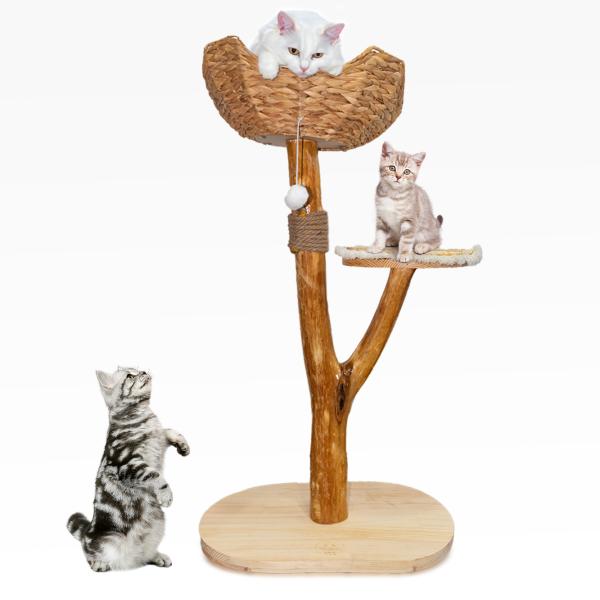 Buy Natural Wood Cat Tower Multi Level Modern Design for Easy Climb by Small and Old Cats at wholesale prices