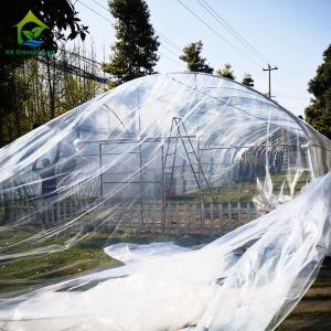 Durable Low Tunnel Plastic Shed Film Polyhouse Tomato Growing Greenhouses