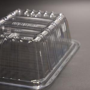 Customized Plastic PET Disposable Rectangular Food Tray