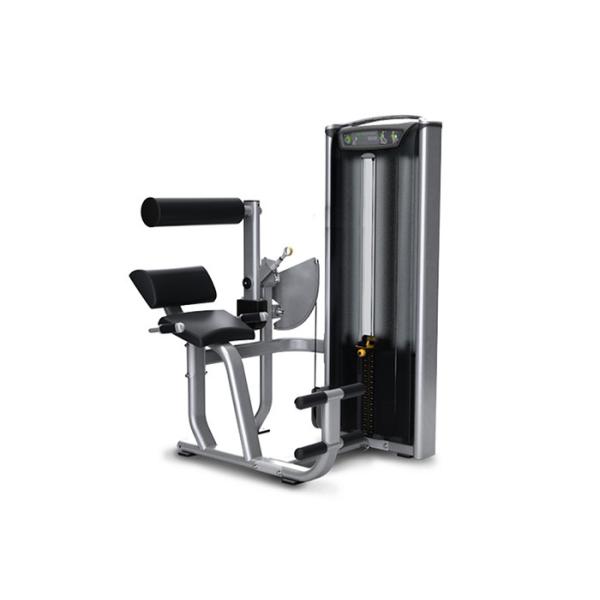 Buy Professional Matrix Exercise Equipment Seated Back Extension Machine at wholesale prices