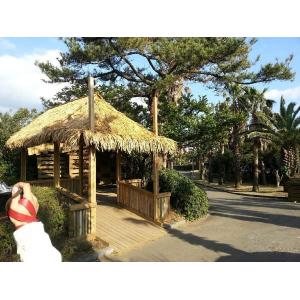 Customized Grey Synthetic Thatch Roof Design for Garden/Seaside Bars and