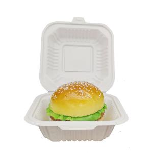 Quality Simplicity Style Biodegradable Disposable Food Container Square Plastic Lunch Boxes for sale