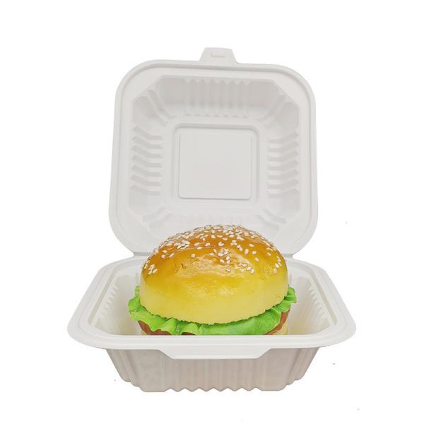 Simplicity Style Biodegradable Disposable Food Container Square Plastic Lunch