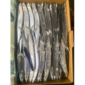 2# BQF Frozen Pacific Saury Fish With High Protein