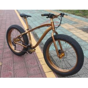 Private Label OEM 1000W 29 Inch Electric Mountain Bike