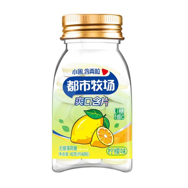 Buy Lemon Mints Round Carb Free Candy Diabetic-Friendly Sugar Free Mint Candy at wholesale prices