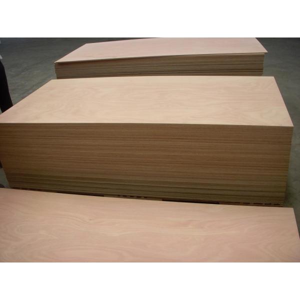Eucalyptus 12mm Waterproof Film Faced Plywood For Construction