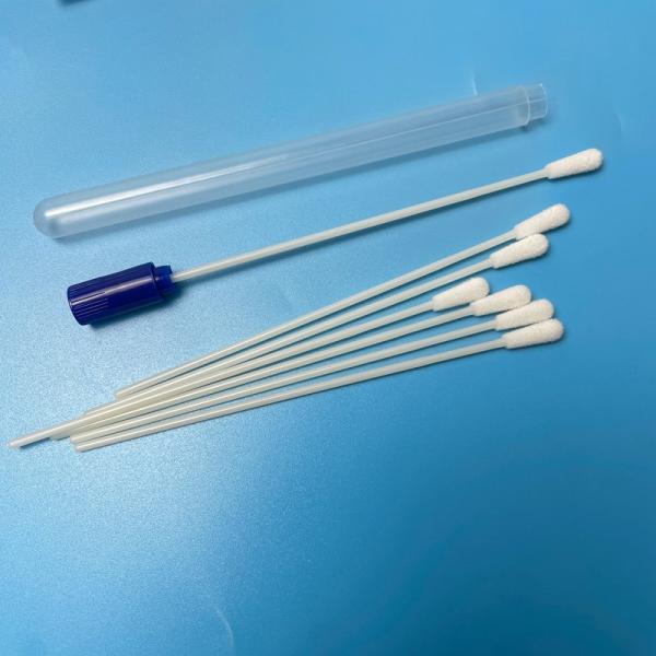 Buy 145mm White Specimen Obtaining Swabs For Consistent And Accurate Sampling Results at wholesale prices