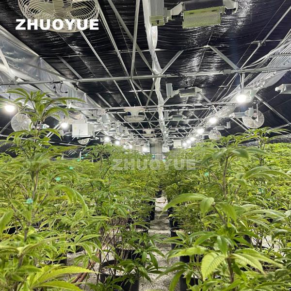 Auto Blackout Greenhouse Light Deprivation Greenhouse For Controlled Crop Cultivation