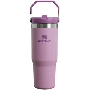 IceFlow Stainless Steel Tumbler with Straw, Vacuum Insulated Water Bottle for