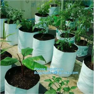 15 GALLON Hole Plastic LDPE Grow Bags For Nursery, Black & White PE Grow Bags