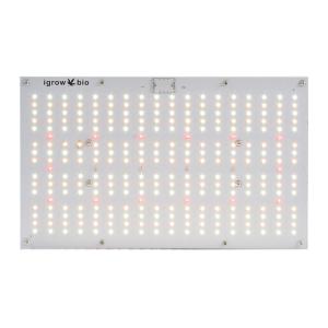 Separate Hanger 120W AC85V UV LED Grow Lights