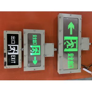 Customizable 3W Anti-Explosion Emergency Exit Sign LED Light Source for Chemical