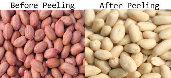 Fully Automatic Feeding and Discharging Air Peanut Blanching Machine