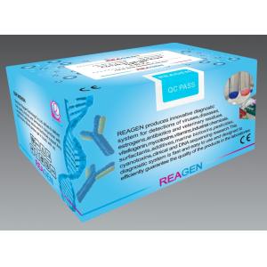 Quality COVID-19 &amp; Influenza A/B Antigen Combo Rapid Test Kit for sale