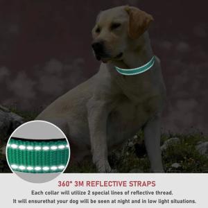 Premium Reflective Dog Collar - Adjustable Safety Nylon Collar for All Dog