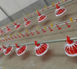 Buy Poultry Farm Shed Ground Broiler Poultry Equipment at wholesale prices