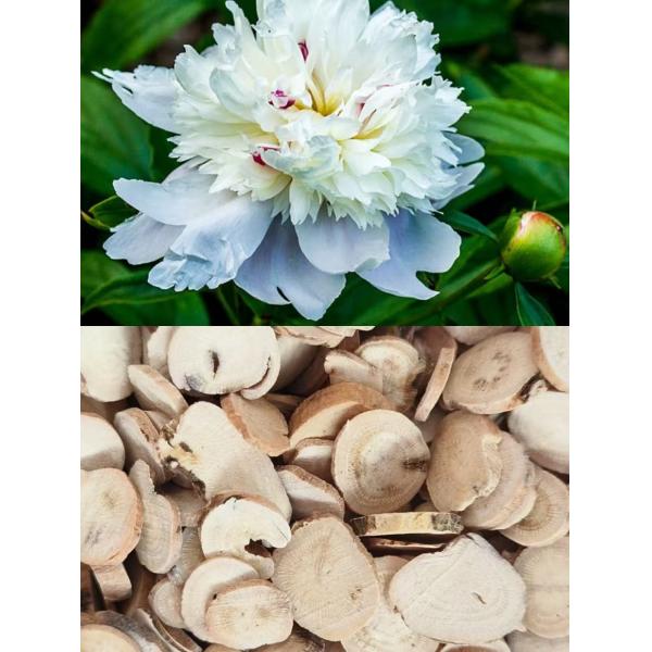 Buy Natural Cultivation White Peony Root Traditional Chinese Peony Root at wholesale prices
