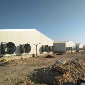 Waterproof Automatic Poultry Farm Equipment Chicken House Feeders Drinkers